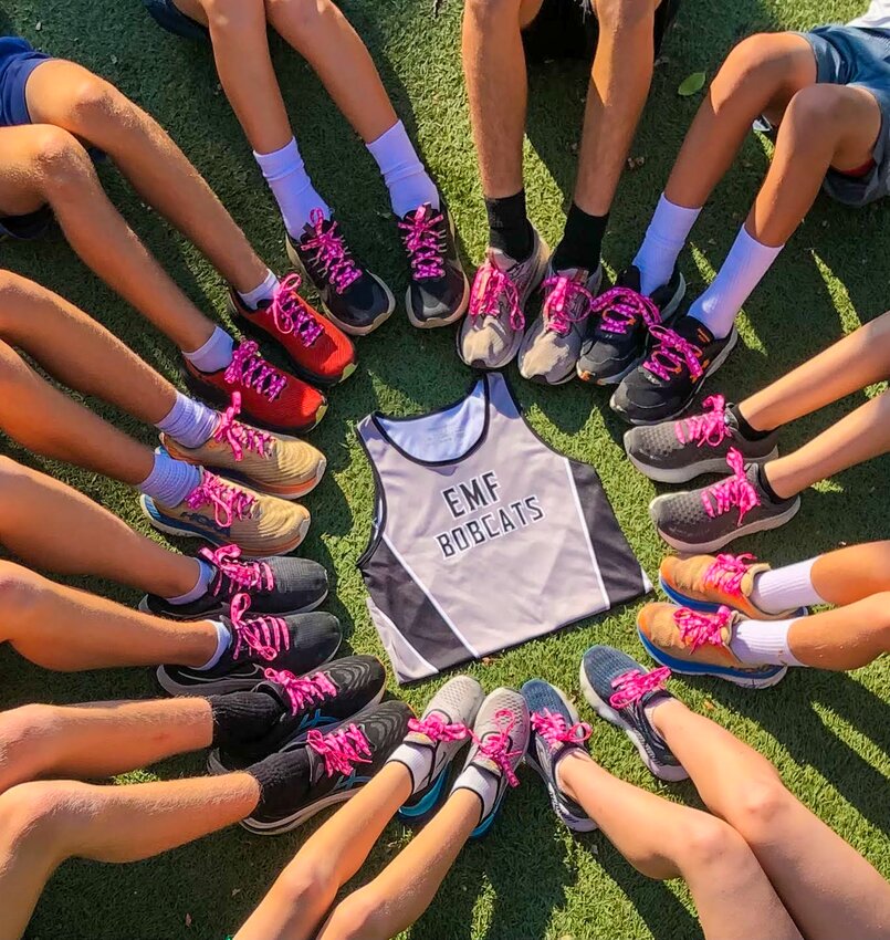 Breast cancer hotsell awareness running shoes