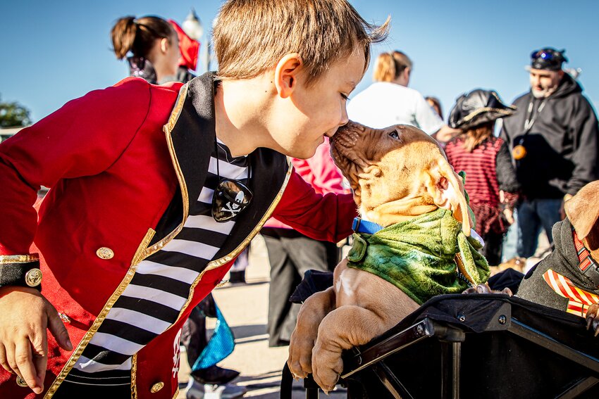 Aaron James Garrison could not resist snuggling Braga, a 10 week old, extra large American Bully brought by Chrissy Danielle to the children's and pet pirate themed parade on Oct. 7.