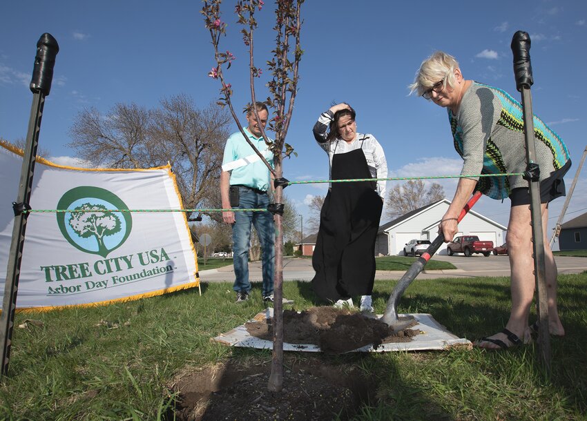 Mark Stutzman and Jewels Knoke watch as Chere Tuttle fills in the Raspberry Spear Crab Apple tree that was planted at the Friend ballparks April 15.