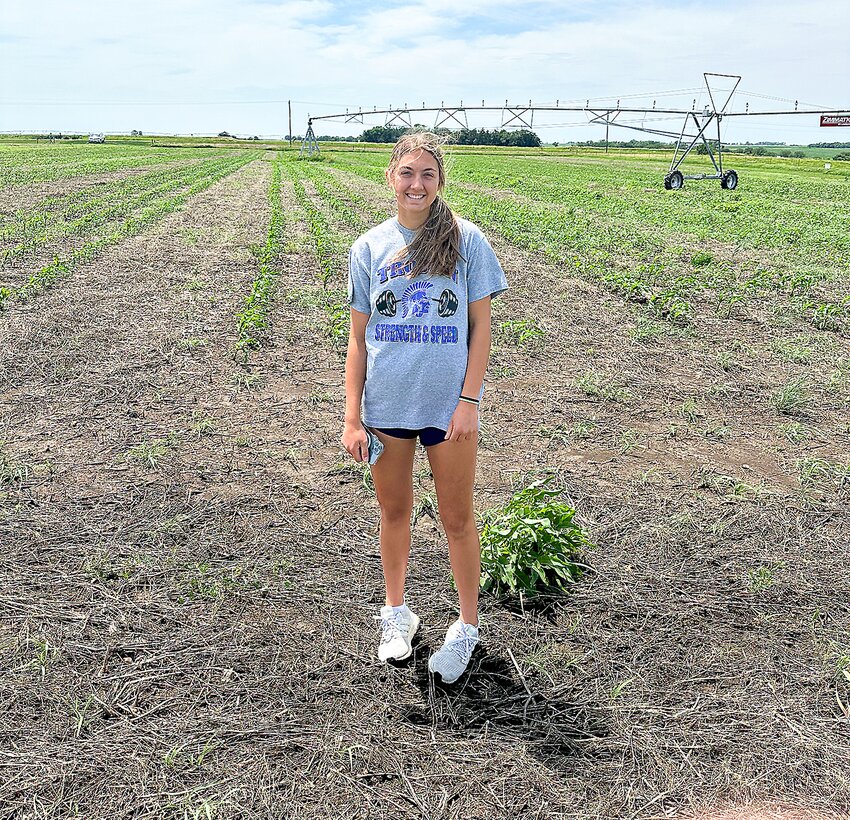 Rylee McCune, a senior at Tri County, stands in front of the field she filled with popcorn, watermelon and pumpkins for her FFA SAE project.