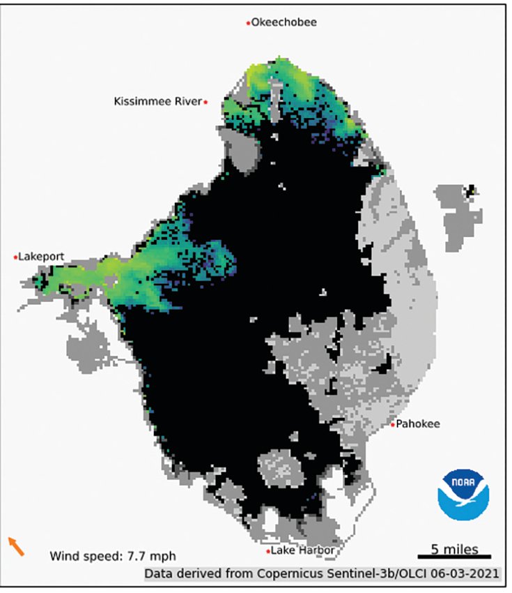 Areas in blue and green show moderate potential for algal and cyanobacterial blooms. Areas in orange and red show high potential of blooms. Areas in black show no potential. Areas in gray are cloud cover.