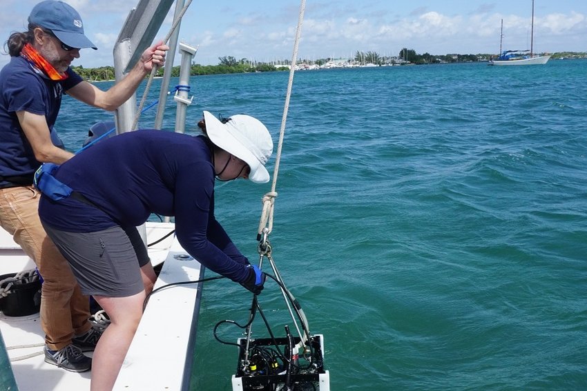FAU Harbor Branch scientists and study co-authors Malcolm McFarland, Ph.D., and Nicole Stockley, Ph.D., collect optical data from Florida's Indian River Lagoon using special equipment.