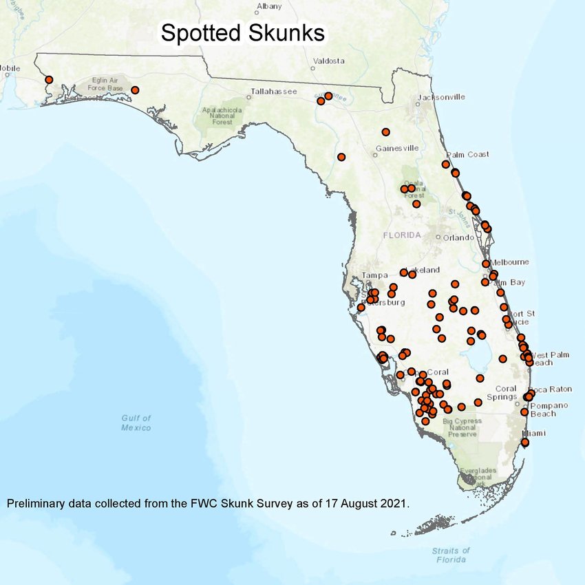 Spotted skunks have been sighted in these areas in the past year.