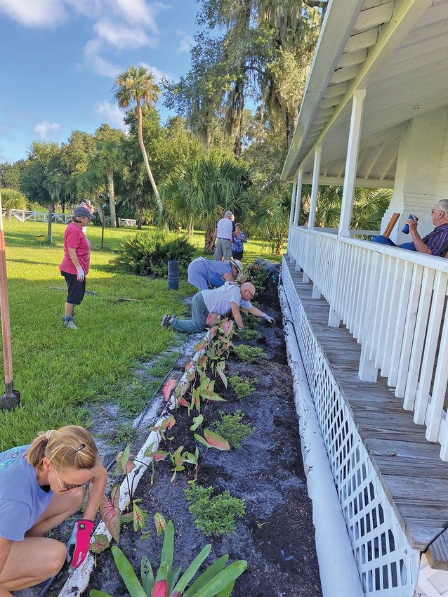 Master Gardeners volunteers are busy planting dwarf azaleas and caladiums while getting ready to add the final touch of pine bark nugget mulch.