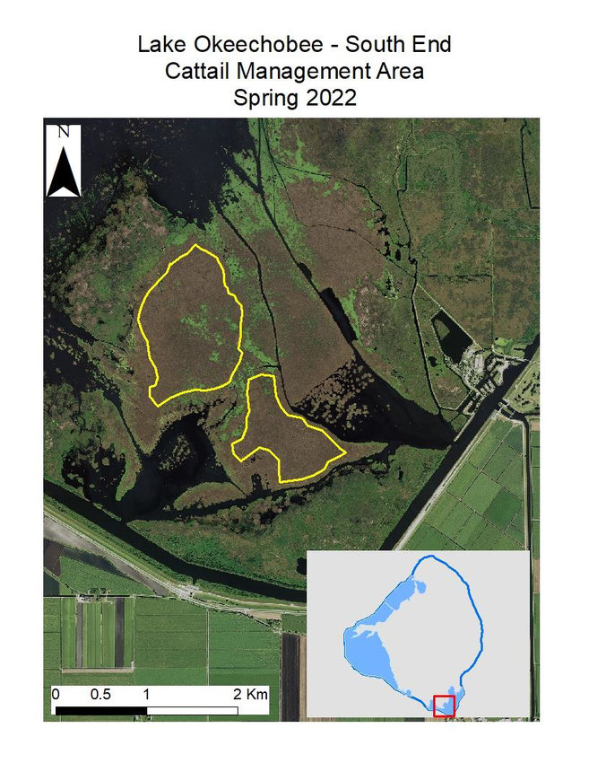 The marsh at the southern end of Lake Okeechobee is composed primarily of dense cattail. FWC biologists propose management of 505 acres of cattail in the southern marsh in the spring of 2022.