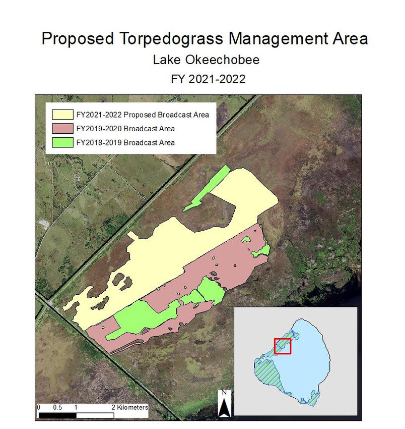 1,500 acres of torpedograss will be managed in spring 2022 (yellow polygon). The new management area will be located adjacent to previous removal efforts (pink and green polygons).