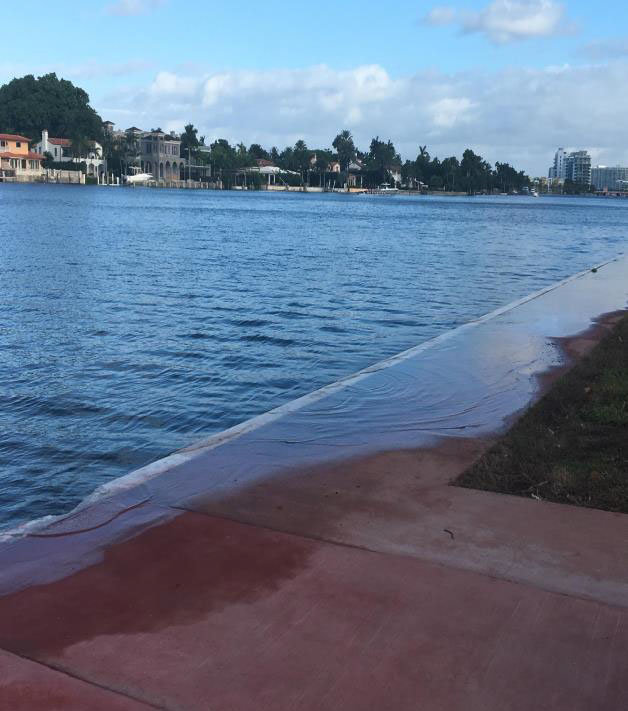 Typical South Florida King Tide flooding.