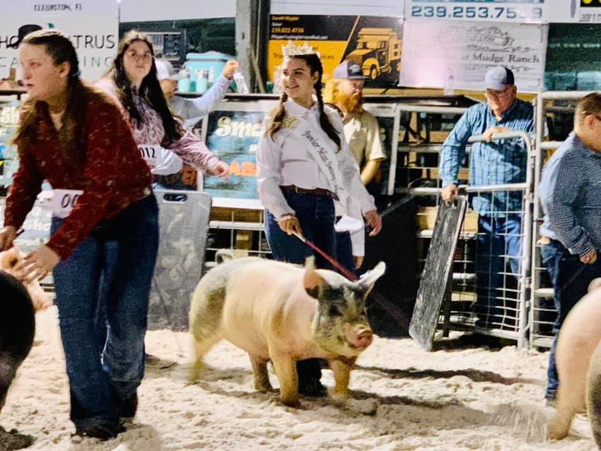 2022 Junior Miss Swamp Cabbage Hailee Cooper did double duty serving at the Youth Livestock Show on Feb. 16, helping to hand out the awards, and also showing a pig.