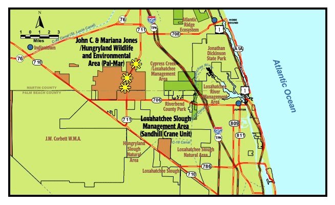 Hungryland Preserve is in Martin and Palm Beach Counties.