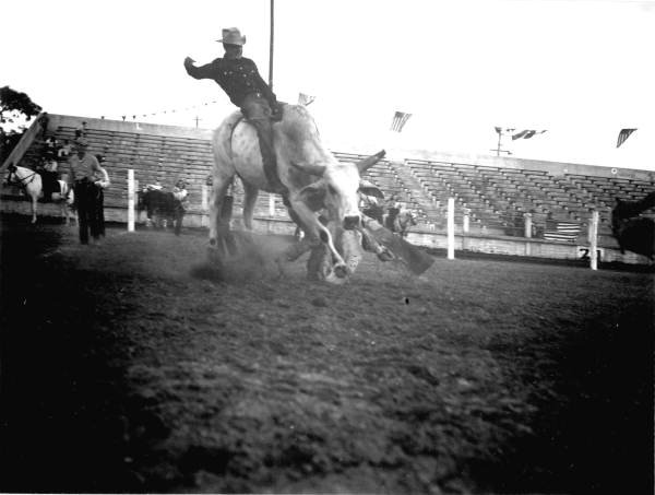 Pete Clemons rides a bull in a 1947 Lakeland rodeo.
