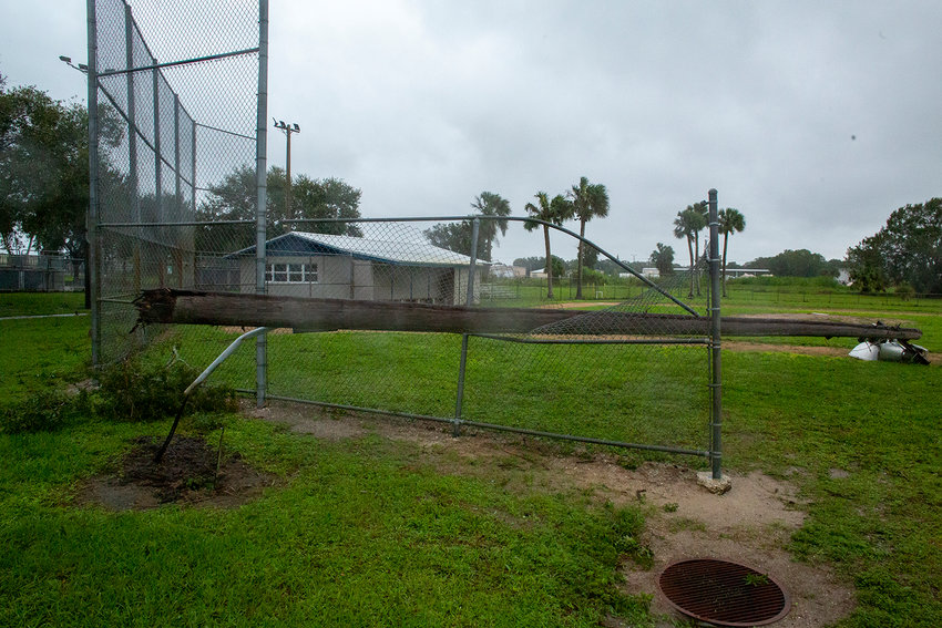 A light pole was blown onto the backstop at the baseball field near Kiwanis Park. [Photo by Richard Marion]