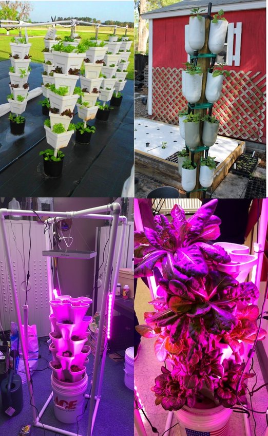 Vertical tower to grow lettuce outdoor and indoor with supplemental lighting.