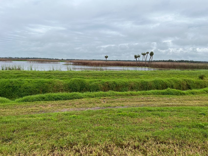 OKEECHOBEE -- The 100-acre retention pond can hold water up to 3 feet deep.