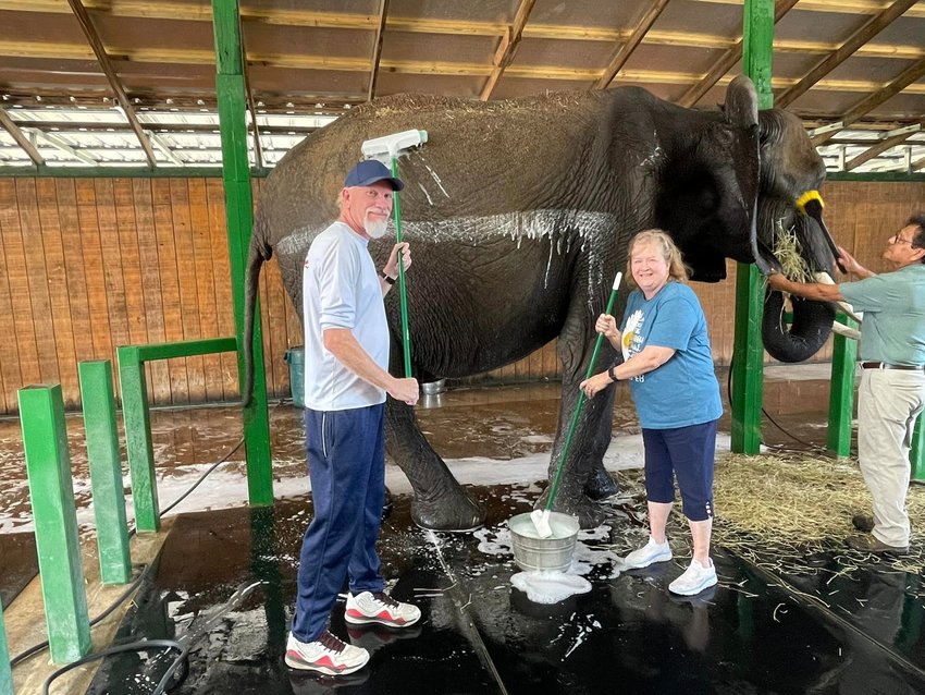 One of Helen Justis' favorite parts of the visits was giving the elephant a pedicure. The Elephant Spa Experience was a birthday trip for Bobby Justis.