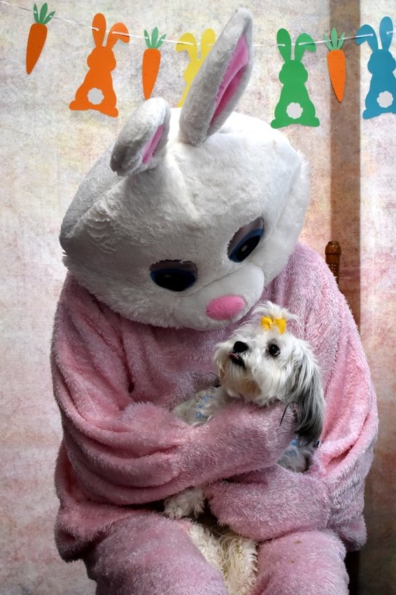 The Easter Bunny has a soft spot for dogs.
