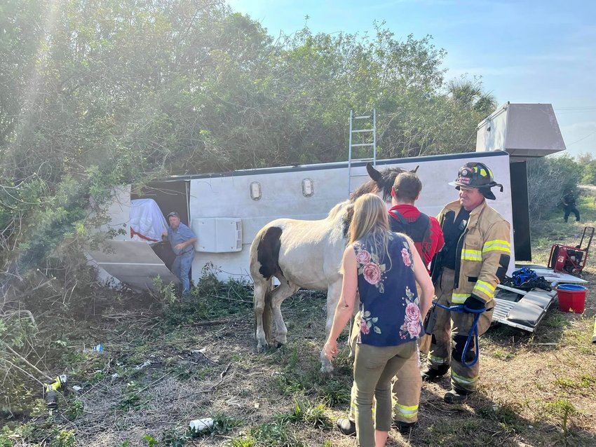 OKEECHOBEE -- Okeechobee County Fire Rescue helped get a horse out of an overturned trailer following an accident on SR 710. [Photo courtesy OCFR]