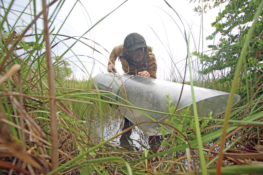 Lead author Lawrence Reeves uses a tool known as an aspirator to collect mosquito specimens. [Photo courtesy UF/IFAS]