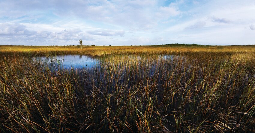 Everglades National Park [Photo courtesy National Park Service]