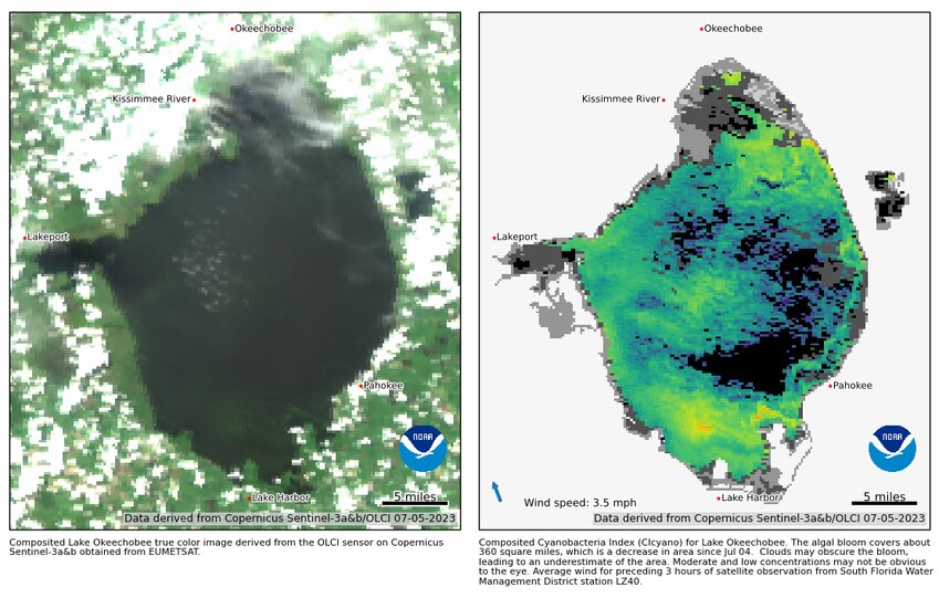 The July 5 satellite image shows bloom potential in 360 square miles of Lake Okeechobee.