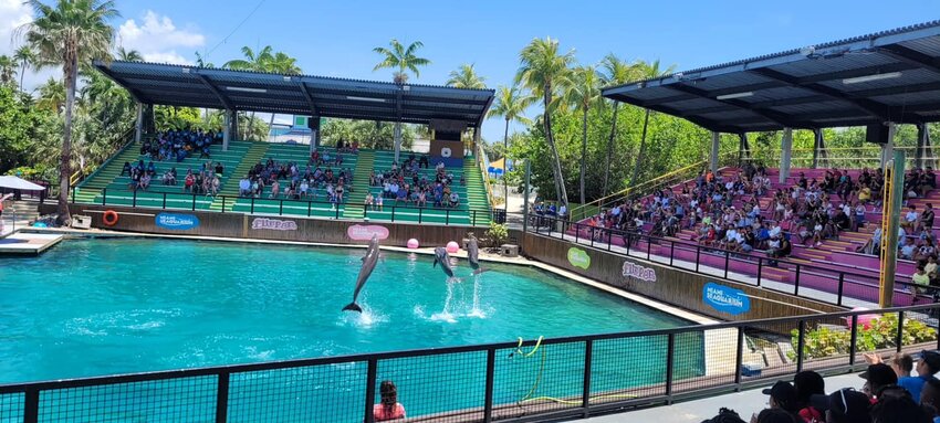 Whales Academy and Canal Point Boys and Girls Club enjoy a day at  Miami Seaquarium! Of course, it was a “Whale of a time”!