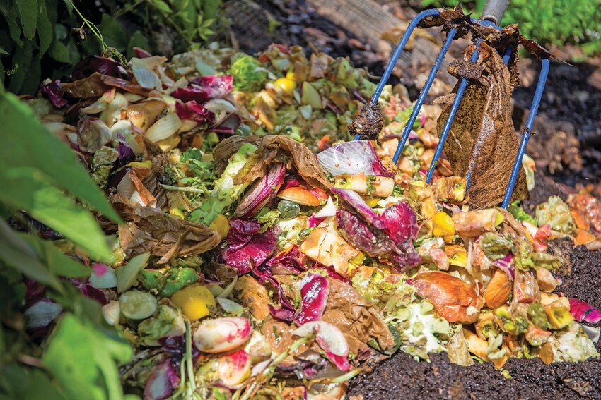 Food and garden clippings make great compost. [Photo courtesy Camila Guillen/ UF/IFAS]