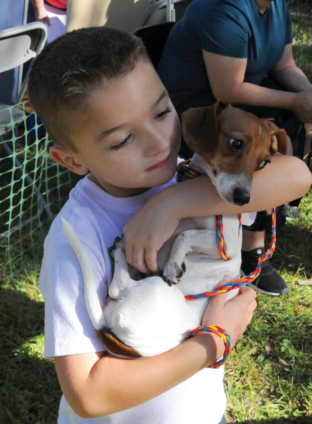 LABELLE -- Five-year-old Logan brought his puppy, Cookie, to the Dachshund races in Barron Park on Oct. 21. Cookie, who was in the puppy category for dogs under age 2) did well in her first races and made it to the semi-finals. But when the starting gates opened for her semifinal, Cookie apparently became confused and ran the wrong direction. She still got plenty of snuggles and love from her best friend.