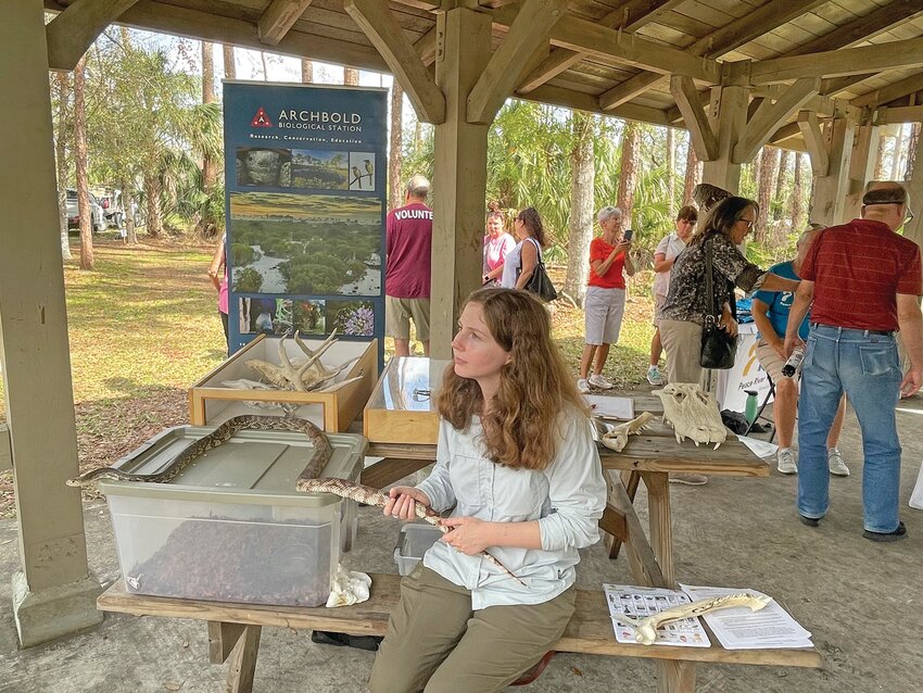 Children may examine a live pine snake at the Archbold Biological Station exhibit in the Otter Pavilion. [Photo courtesy Highlands Hammock]