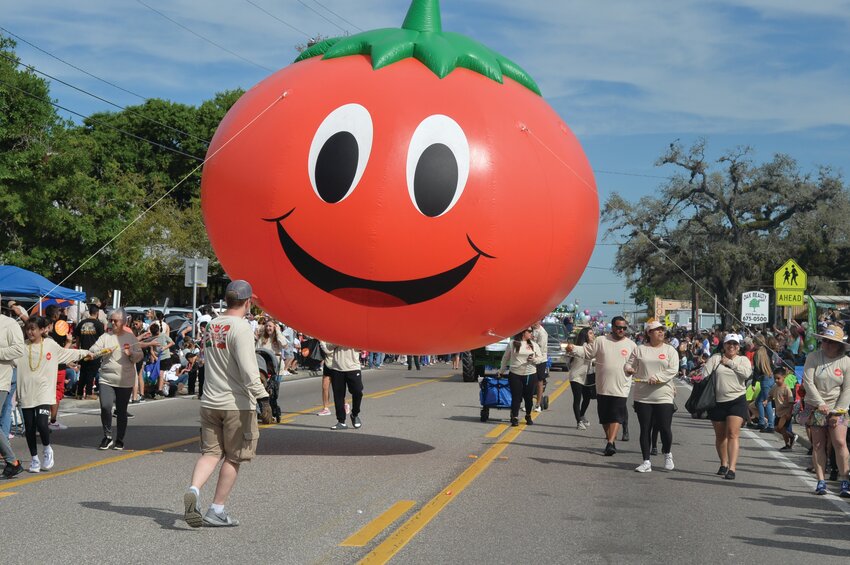 LABELLE -- The giant tomato balloon was a hit at the 2024 Swamp Cabbage Festival Parade on Feb. 24 in downtown LaBelle. [Photo by Katrina Elsken/Caloosa Belle Independent]