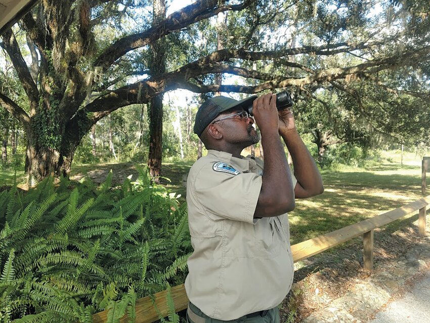 Ranger Blake Lewis, who leads birding hikes, keeps track of  birds in the trees near the Ranger Station and throughout the park.
