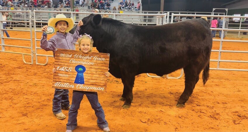 MOORE HAVEN --  ATt the Glades County Livestock Show, Hatton Chapman won weight gain with his steer Charlie . His steer weighed 1,455. [Courtesy photo]