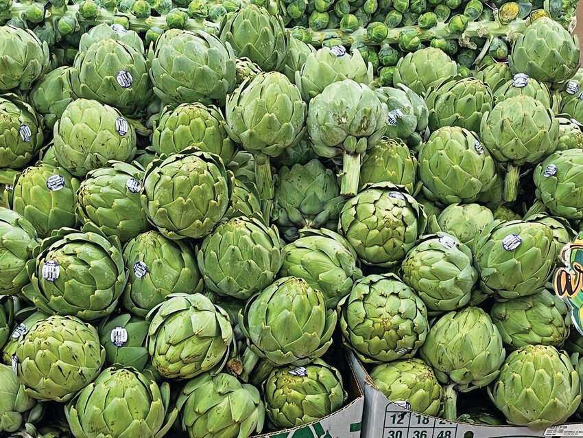 This is a photo of artichokes. [Photo by Tie Liu/ UF/IFAS]