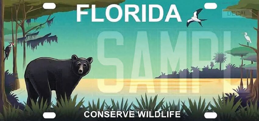 Proceeds from the “bear” plate benefit a wide variety of species, from black bears and indigo snakes to endangered Florida grasshopper sparrows. [Photo courtesy FWC]