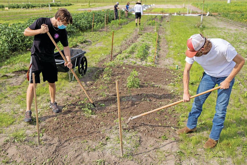 Horticultural Sciences students working garden plots at the teaching farm. [Photo courtesy UF/IFAS