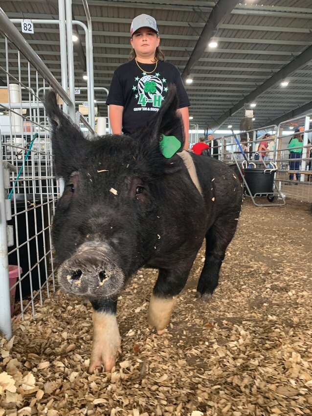 Cameron Swallows with his sister’s Florida 4-H pig, Marcus. [Photo by Suzette Cook / UF/IFAS]