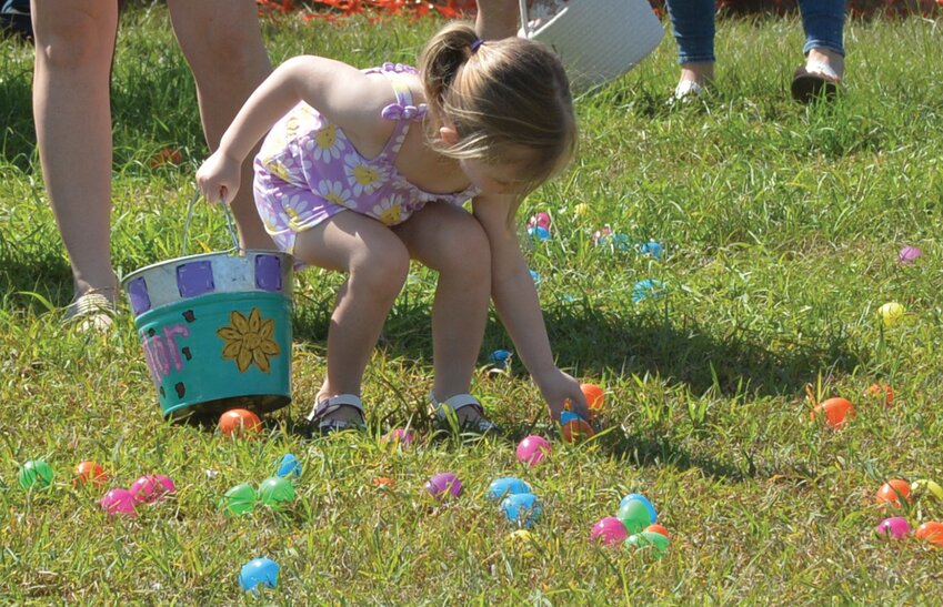 OKEECHOBEE -- Children ages 1-3 had their own area to hunt Easter Eggs at the Spring Festival at the Okeechobee Agri-Civic Center on March 31. [Photo by Katrina Elsken/Lake Okeechobee News]