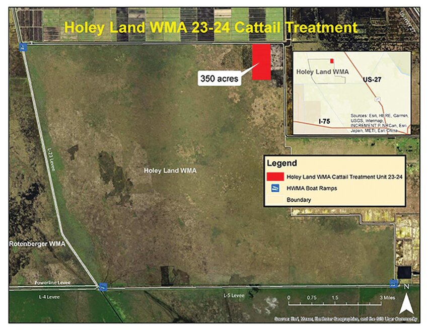 Aerial treatment area (red polygon) at Holey Land WMA.  [Map courtesy FWC]