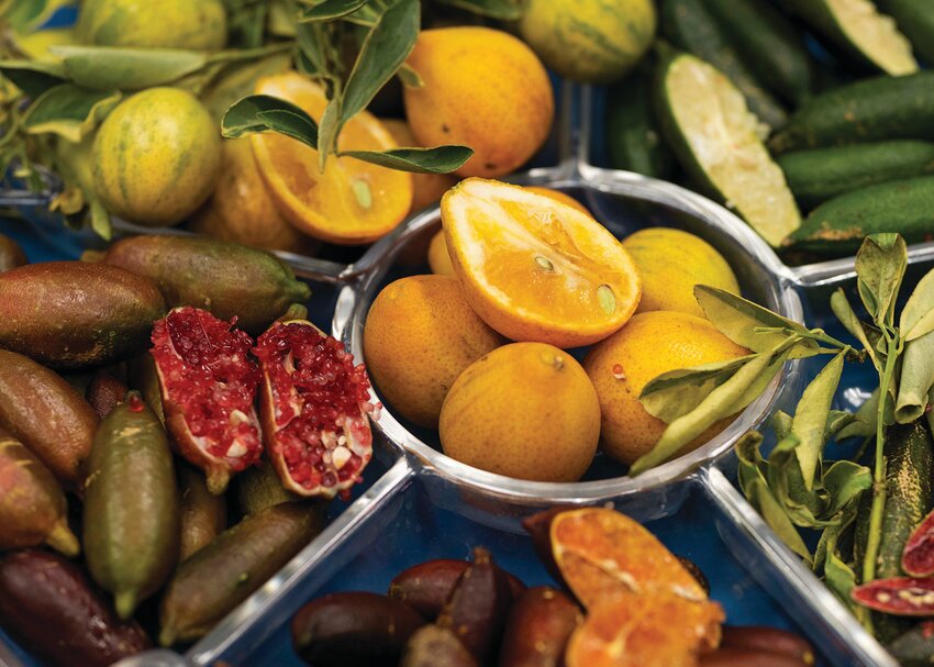 This citrus variety platter includes key limes, finger limes, tangerines — all citrus varieties that can be found in South Florida residential landscapes. [Photo courtesy UF/IFAS]