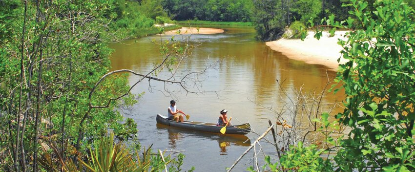 Blackwater River [Photo courtesy Florida State Parks]