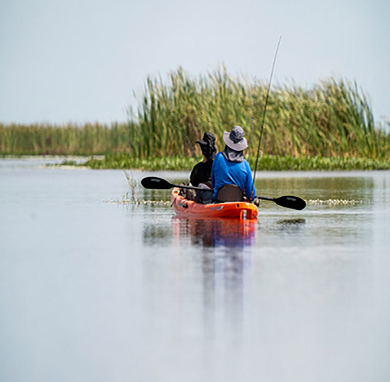 Grab a paddle and explore South Florida’s natural areas by water.