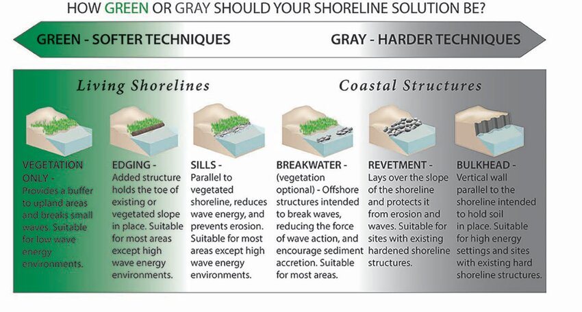 An infographic illustrates different types of living shorelines. (Courtesy of Florida Sea Grant)