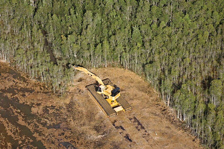 Melaleuca removal along Tamiami Trail. [Photo courtesy SFWMD]