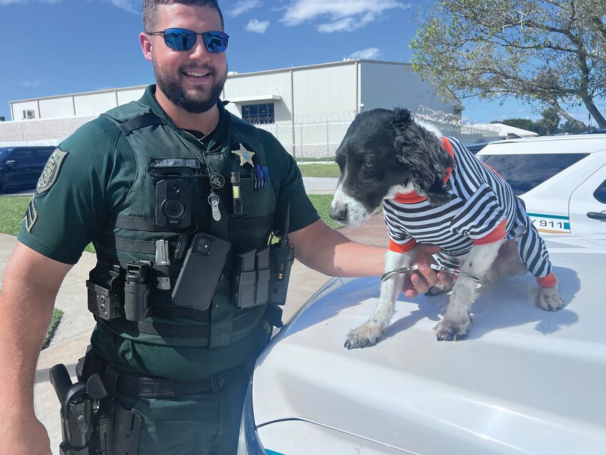 K9 Samba felt slightly embarrassed when his dad and partner, Cpl. Schoonmaker took him into custody for a photo. [Photo courtesy HCSO]