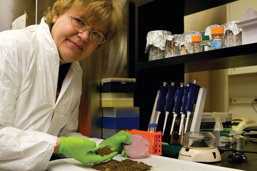 Pathogen expert Ariena van Bruggen analyzes compost for salmonella. [Photo: Tyler Jones, UF/IFAS]