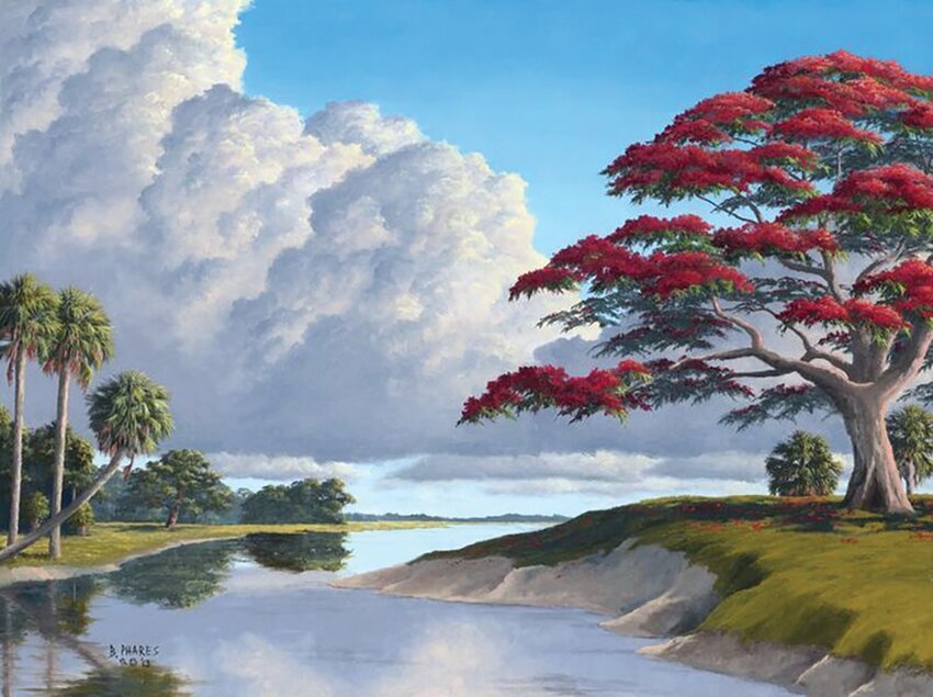 "Creekside Poinciana" by Brad Phares
