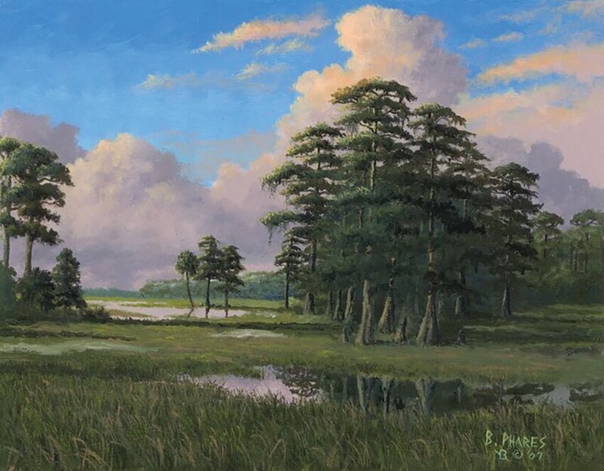 "Twighlight Cypress" by Brad Phares
