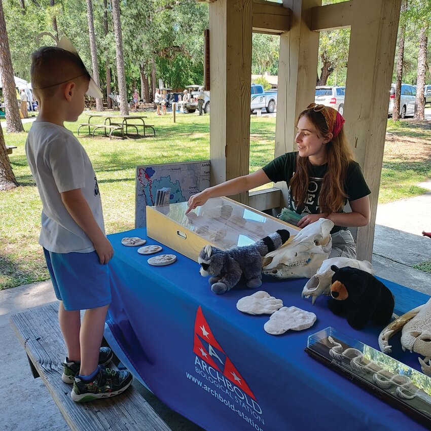 Archbold Biological Station sets up an extensive display of skulls, bones and other items for visitors to observe.  Earth Day Festival April 2024. [Photo courtesy Highlands Hammock State Park]