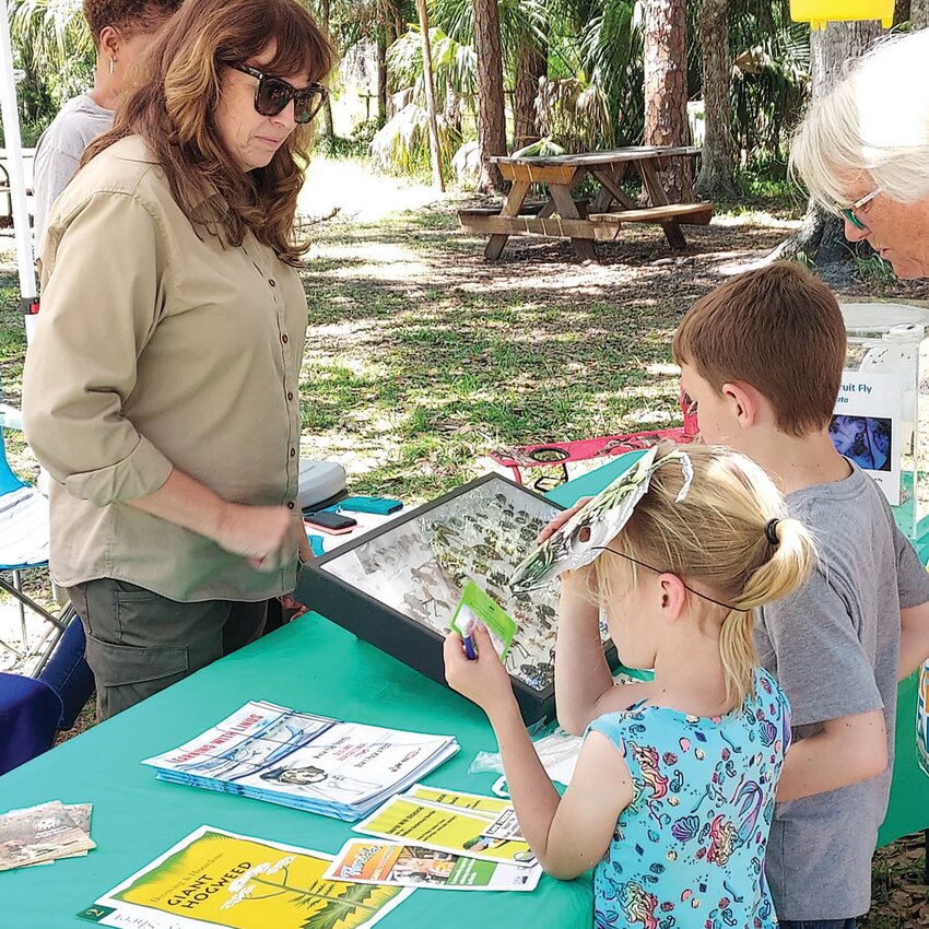 Youngsters are fascinated by the insect collection at the USDA exhibit where they can get "up close and personal" with all kinds of bugs.  Earth Day Festival April 2024. [Photo courtesy Highlands Hammock State Park]