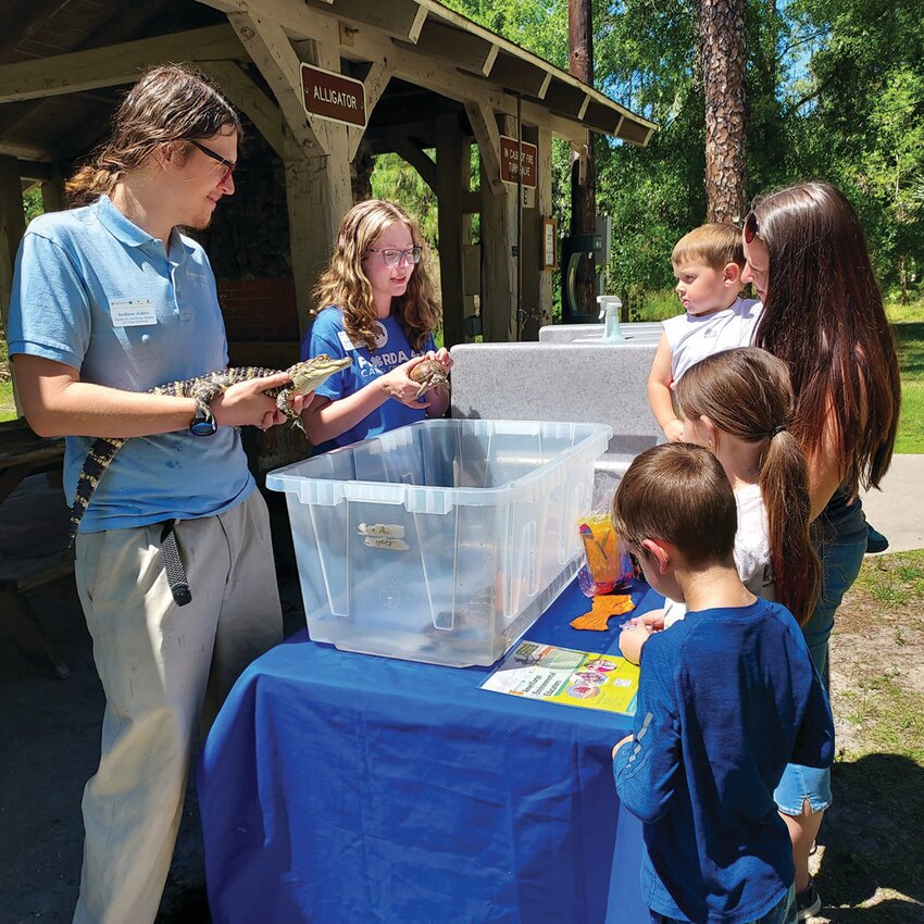 The 4-H exhibit featured a baby alligator and freshwater turtles.  Earth Day Festival April 2024. [Photo courtesy Highlands Hammock State Park]
