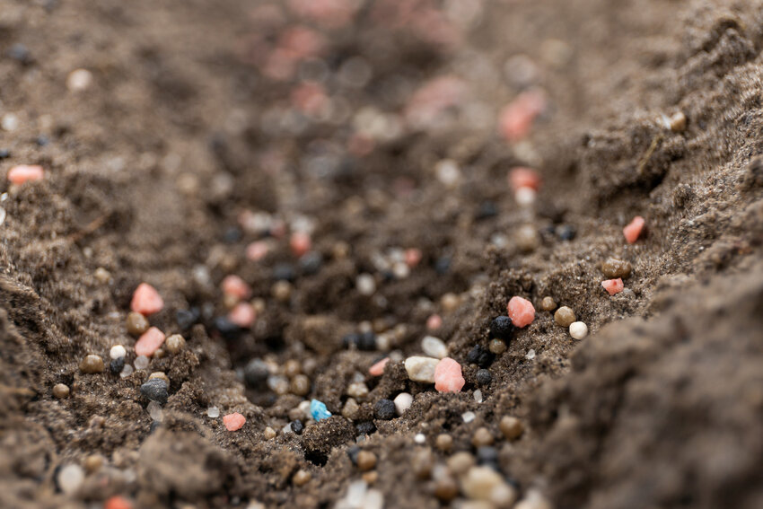 Granulated fertilizer. More than 60% of people surveyed did not know whether they lived in an area governed by a fertilizer ordinance. [Photo courtesy Cat Wofford, UF/IFAS]