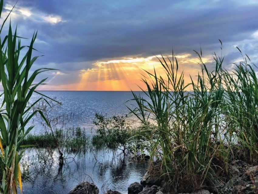 LAKE OKEECHOBEE &ndash; Lake Okeechobee, the second largest freshwater lake in the continental United States, is essential to the water supply for Florida&rsquo;s east coast.